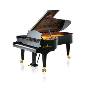 pianoforte ad ala BEchstein c234