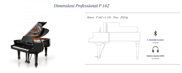 Professional P 162 - immagine 2