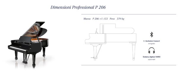 Professional P 206 - immagine 2