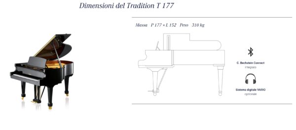 Tradition T 177 - immagine 3