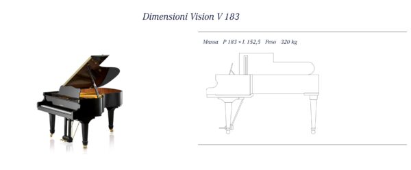 Vision V 183 - immagine 2