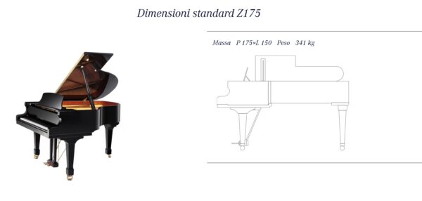Z 175 Standard - immagine 2